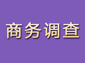 固安商务调查